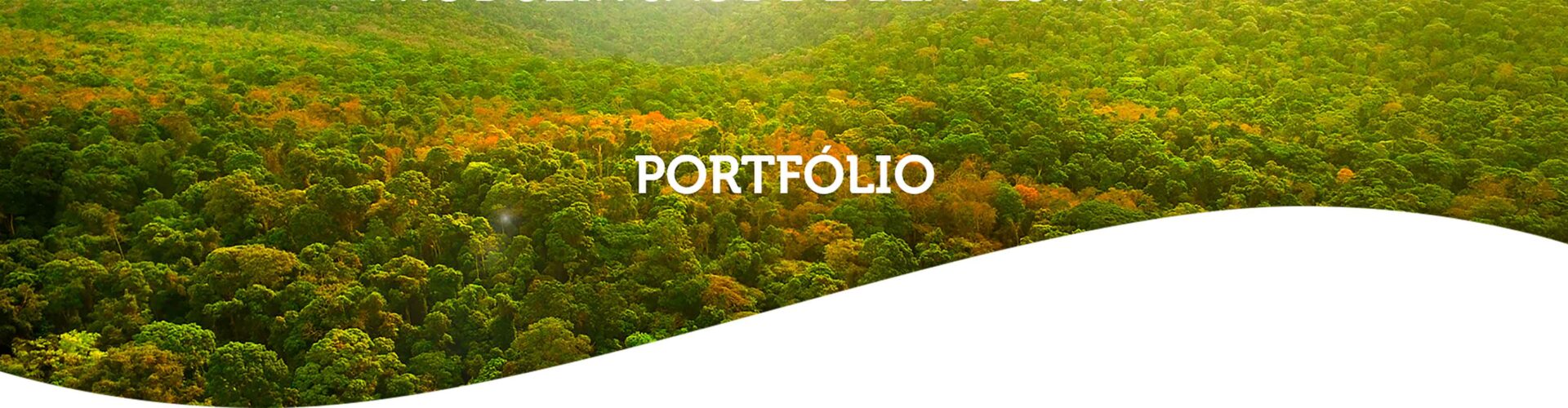banner-portfolio